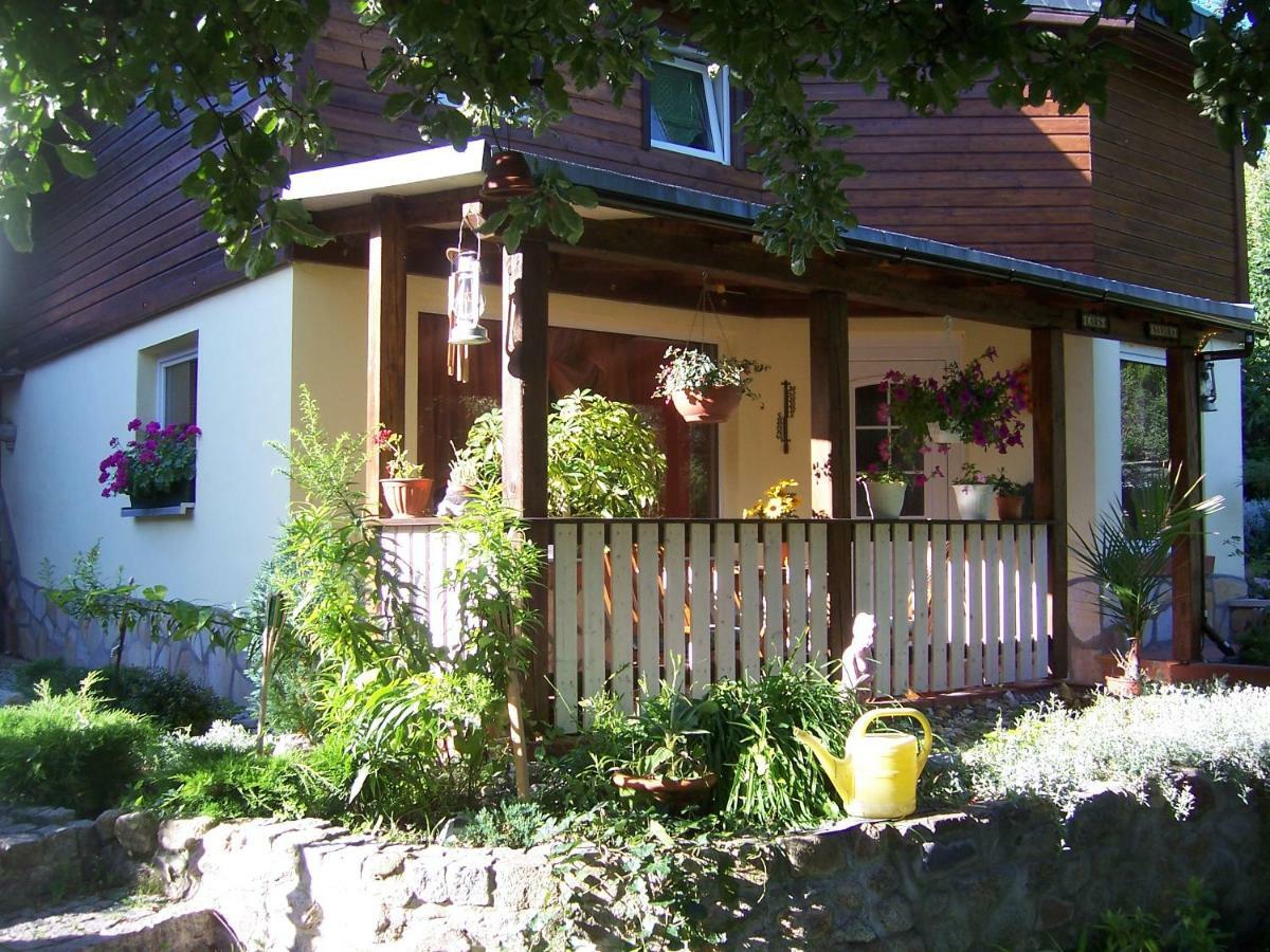 Ferienhaus Hagenwinkel Gernrode  Exteriér fotografie